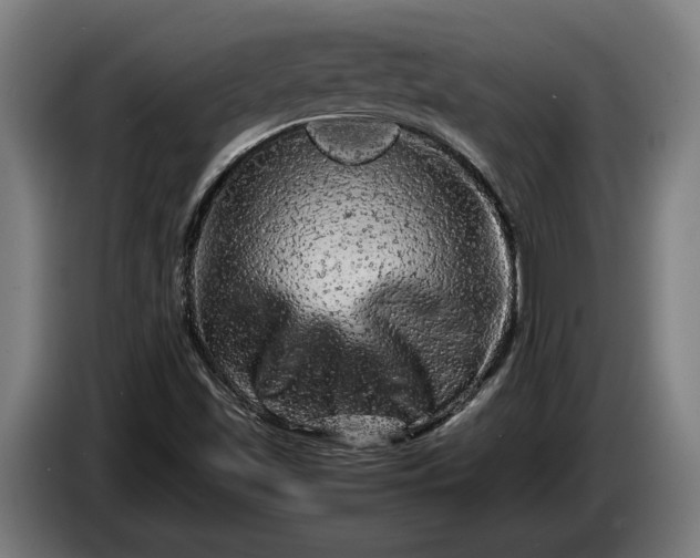 X0000087421501200705041257