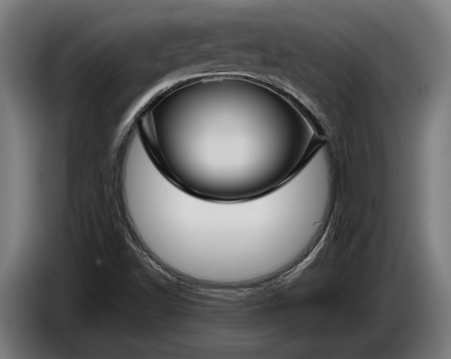 X0000087421502200705041257