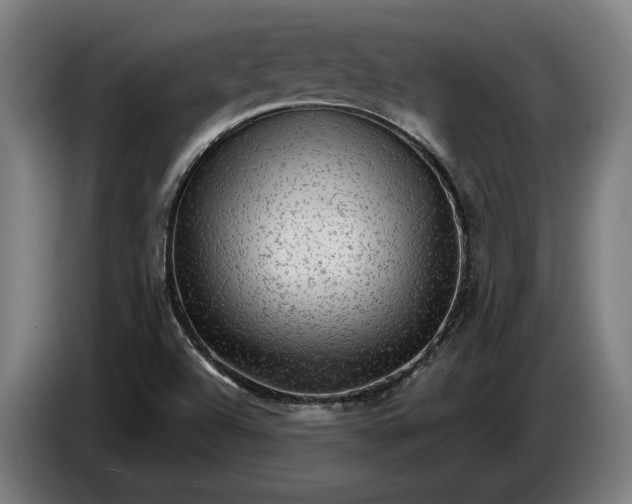 X0000087421504200705041257