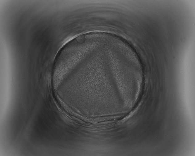 X0000087421505200705041257