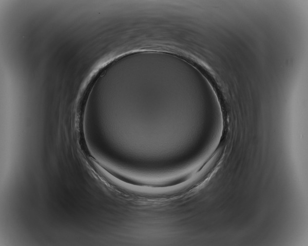 X0000087421506200705041257