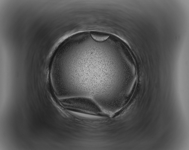 X0000087421507200705041257