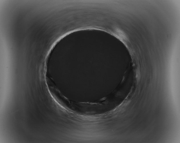 X0000087421508200705041257