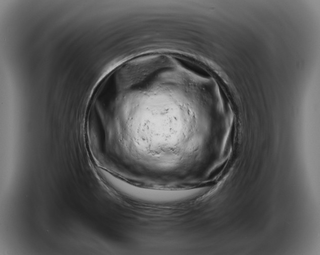 X0000087421513200705041257