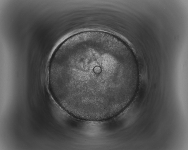 X0000087421514200705041257