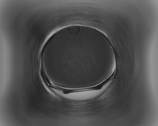 X0000087421515200705041257