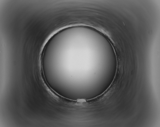 X0000087421516200705041257