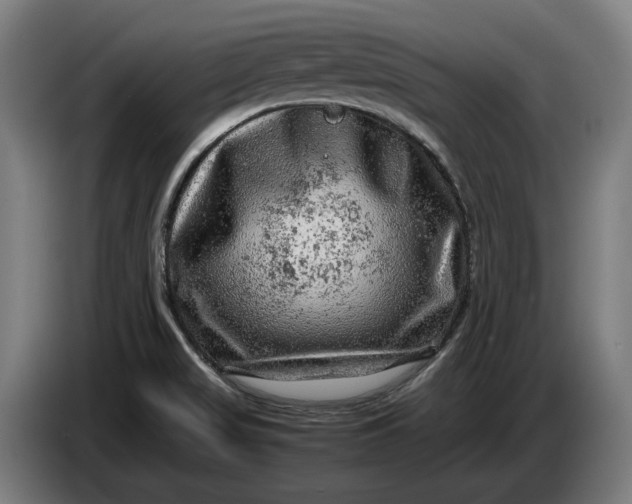 X0000087421517200705041257