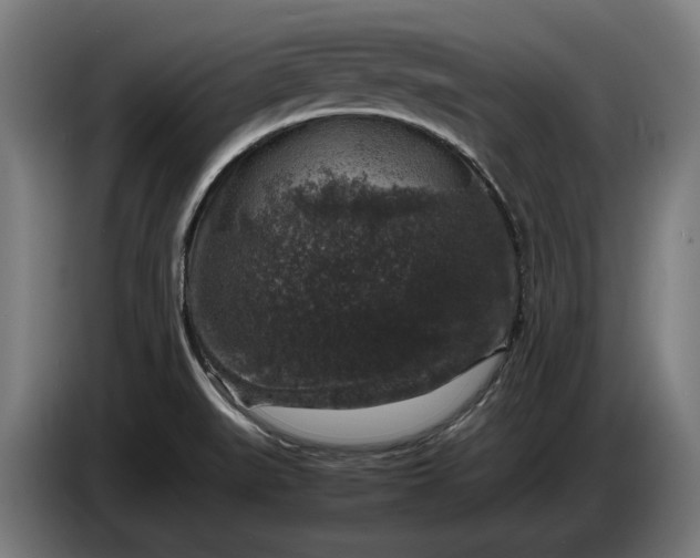 X0000087421519200705041257