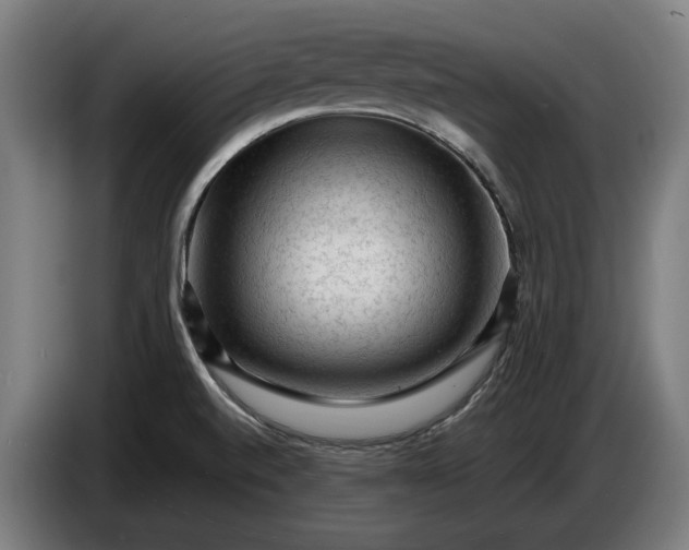 X0000087421520200705041257