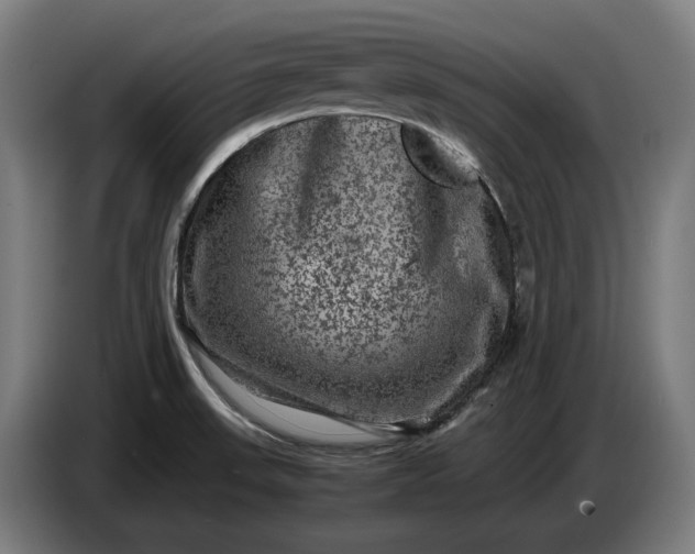 X0000087421523200705041257