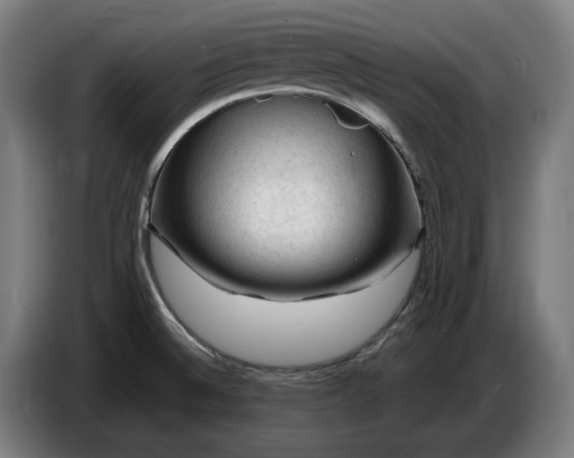 X0000087421524200705041257