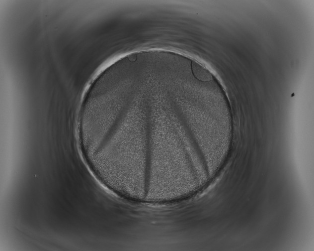 X0000087421525200705041257