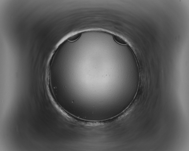 X0000087421526200705041257