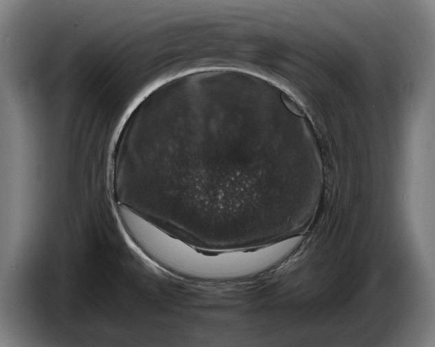 X0000087421527200705041257