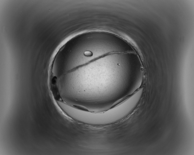 X0000087421528200705041258