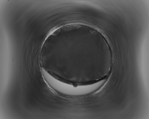 X0000087421529200705041258