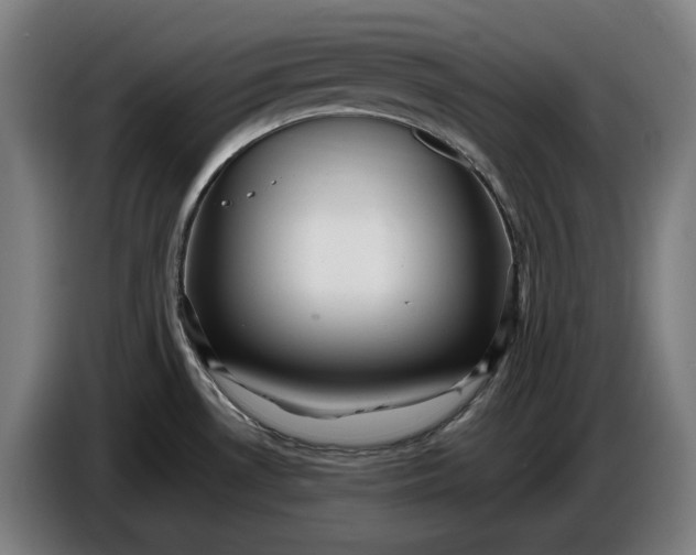 X0000087421530200705041258