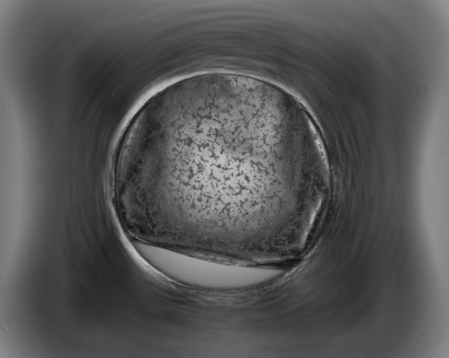 X0000087421531200705041258