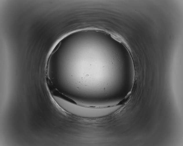 X0000087421532200705041258