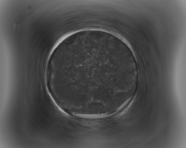 X0000087421533200705041258