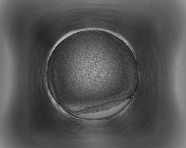 X0000087421534200705041258