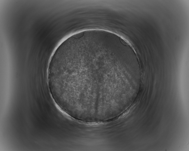 X0000087421535200705041258