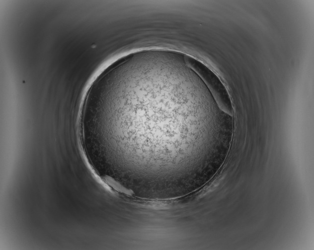 X0000087421536200705041258