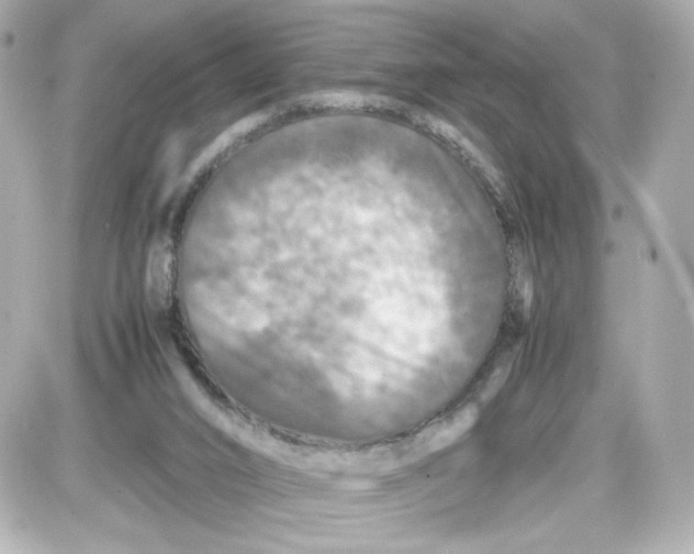 X0000087420016200705111928