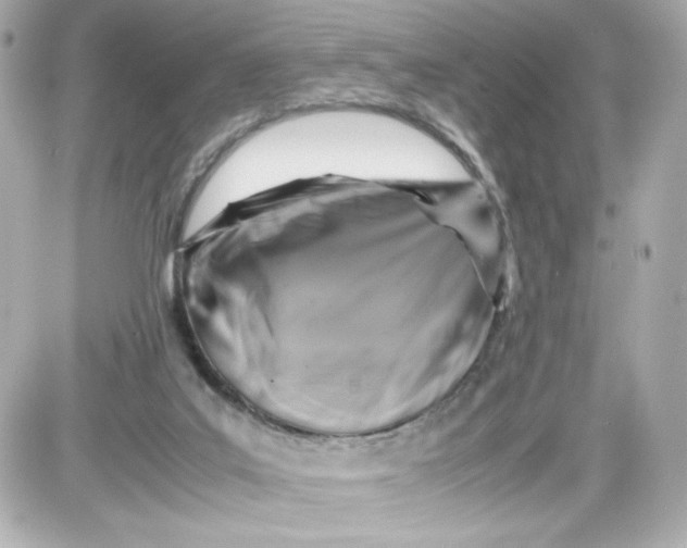X0000087420019200705111927