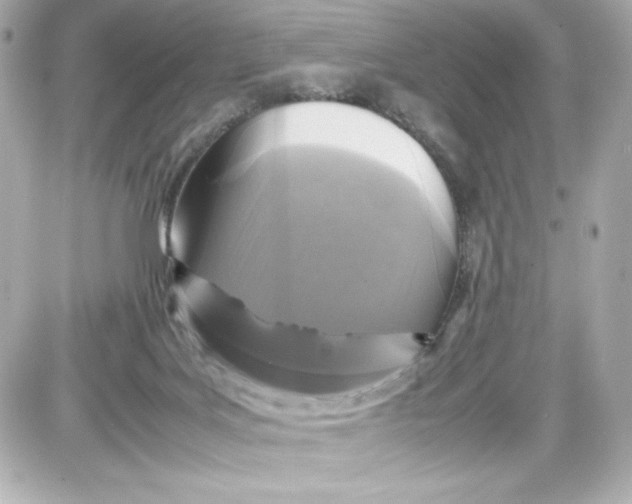 X0000087420027200705111927