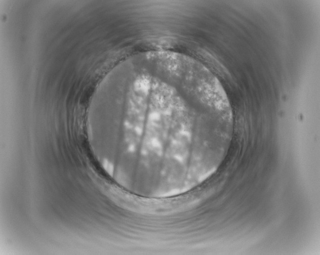 X0000087420030200705111927