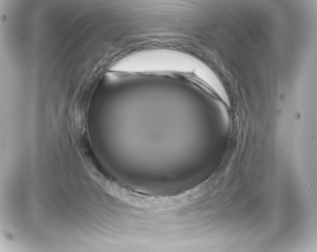 X0000087420031200705111927
