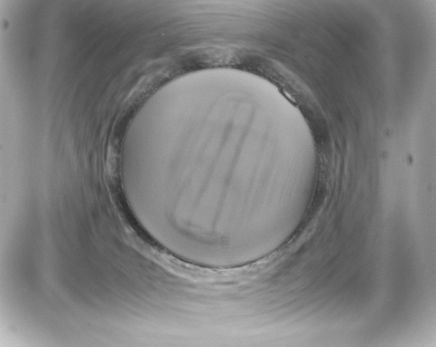 X0000087420035200705111927