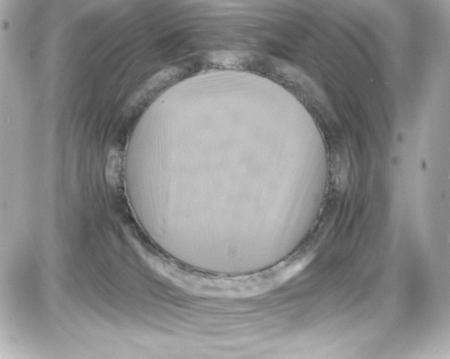X0000087420036200705111927