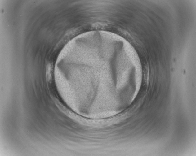 X0000087420038200705111927