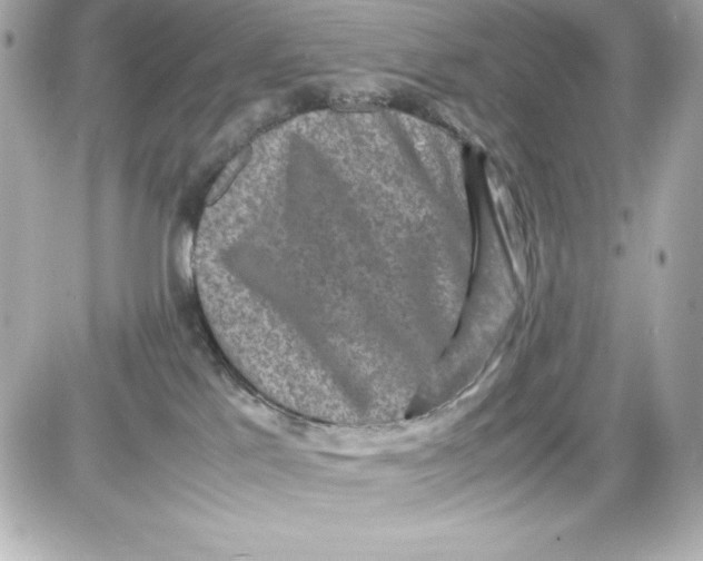 X0000087420041200705111927