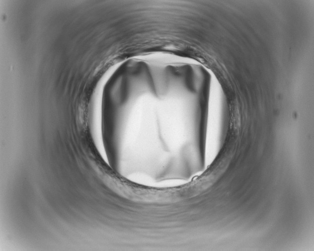 X0000087420044200705111927