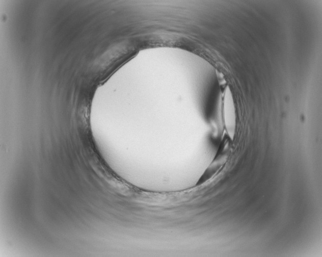 X0000087420045200705111927