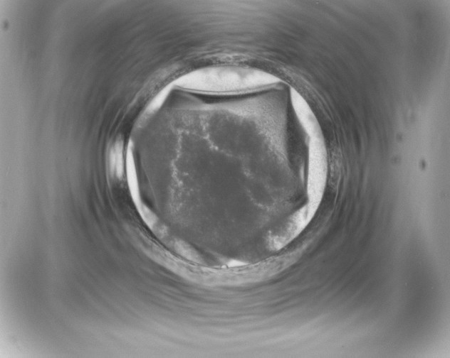 X0000087420046200705111927
