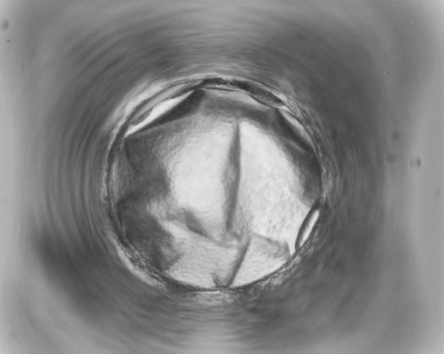 X0000087420050200705111926