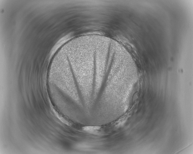 X0000087420051200705111926