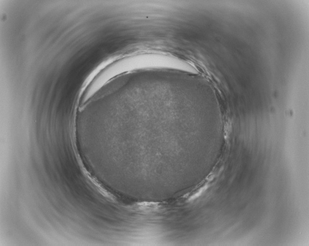 X0000087420052200705111926