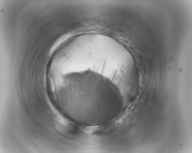 X0000087420054200705111926