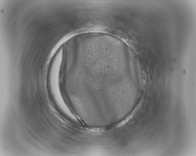 X0000087420056200705111926