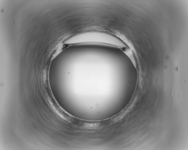 X0000087420057200705111926