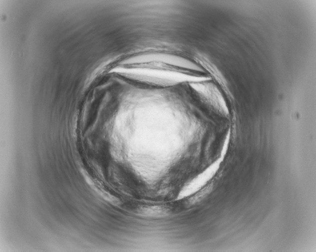 X0000087420058200705111926