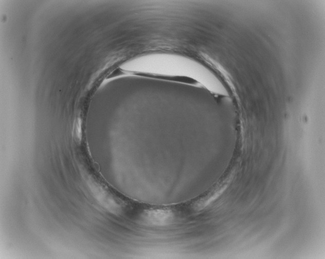 X0000087420067200705111927