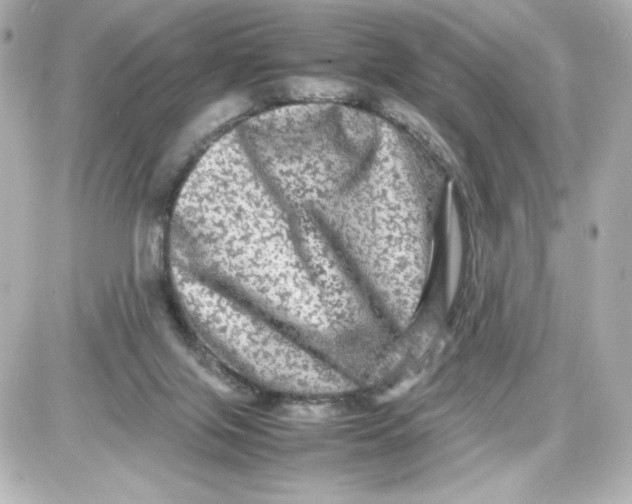 X0000087420071200705111927