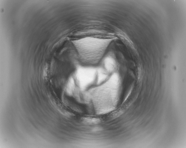 X0000087420073200705111927